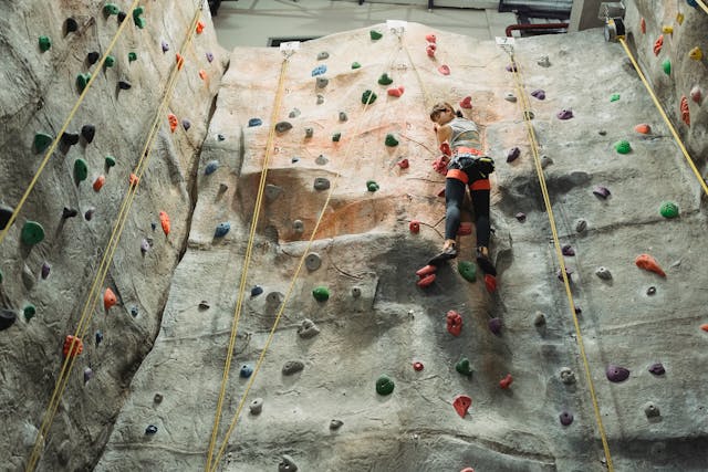 A Complete Guide to the 2024 Olympic Sport Climbing Event